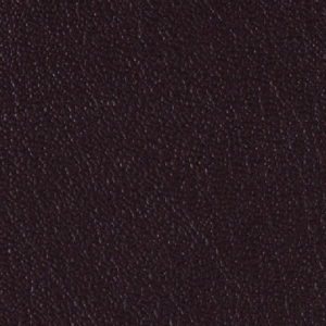 Colorguard- Black Plum