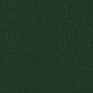 Colorguard- Emerald