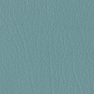 Colorguard- Light Teal