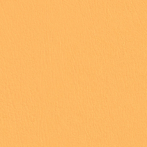 Colorguard- Marigold
