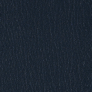 Colorguard- Navy