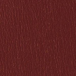 Colorguard- New Burgundy