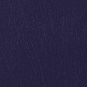 Colorguard- New Purple