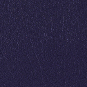 Colorguard- New Purple
