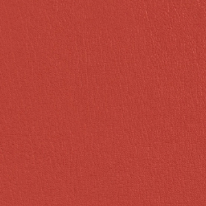 Colorguard- Red Cent