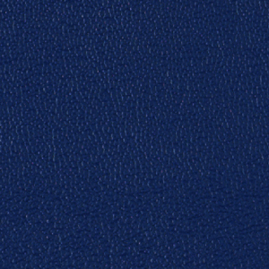 Colorguard- Regal Blue