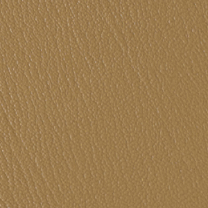 Colorguard- Saddle Tan