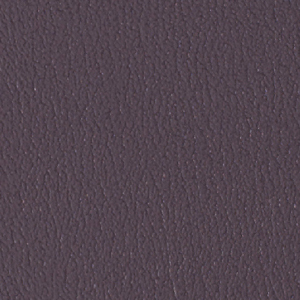 Colorguard- Wood Violet