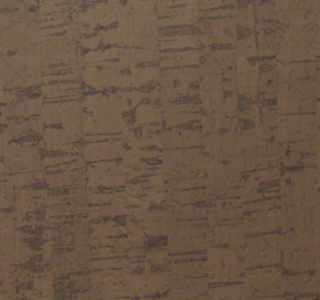 Cork - Fossil
