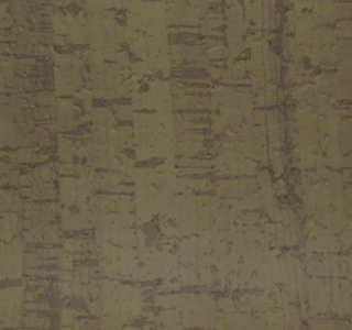 Cork - Moss