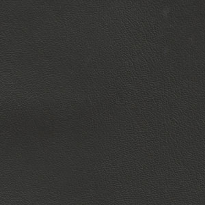 Jackson - Black Ink Corinthian