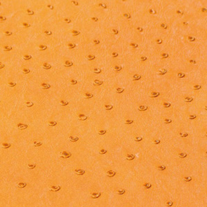 Sola - Corn