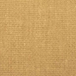 Vibe- Cornsilk