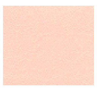 Surfside - Coral
