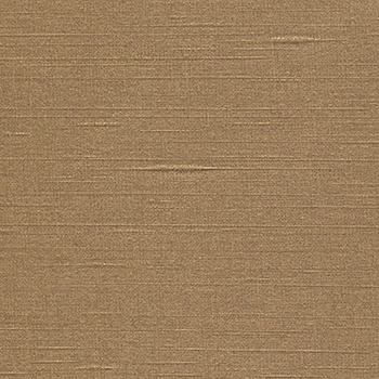 Vector - Cork